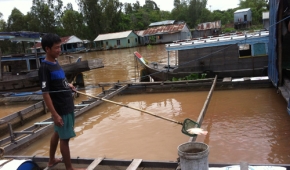 Khó quản thức ăn, thuốc thú y thủy sản