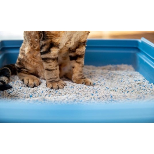  CAT LITTER  FOR ANIMALS