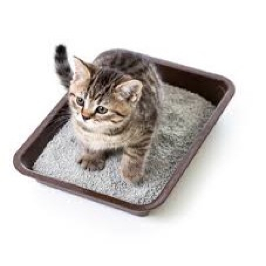  CAT LITTER  FOR ANIMALS